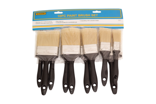 10-PC PAINT BRUSH